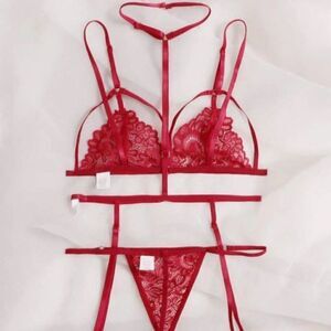 NWT, Shein • Floral Lace Garter Lingerie Set With Choker, Size Small